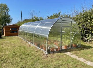 GREENHOUSE SIGMA 24M² 3M X 8M (9.8FT X 26FT)