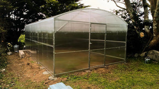 GREENHOUSE PRIMA-4 24 M² (4M X 6M; 13FT X 19.6FT)/ 6mm