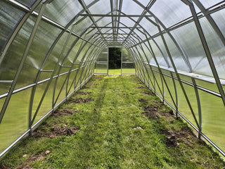 GREENHOUSE SUNGROW, 36M² (3M X 12M; 9.8FT X 39.4FT)