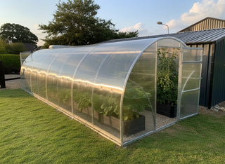 GREENHOUSE SIGMA 24M² 3M X 8M (9.8FT X 26FT)