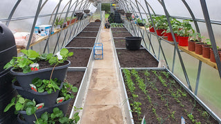 STRONG PREMIUM 12M² (3M X 4M; 9.8FT X 13FT)