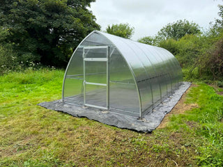 GREENHOUSE SUNGROW, 36M² (3M X 12M; 9.8FT X 39.4FT)