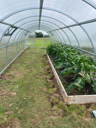 GREENHOUSE SIGMA 36M² (3M X 12M; 9.8FT X 40FT)
