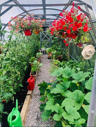 GREENHOUSE STRONG 36 M² (3M X 12M; 9.8FT X 39.4FT)