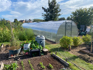 GREENHOUSE STRONG 36 M² (3M X 12M; 9.8FT X 39.4FT)