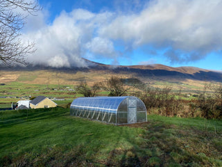 GREENHOUSE STRONG 30 M² (3M X 10M; 9.8FT X 33FT)