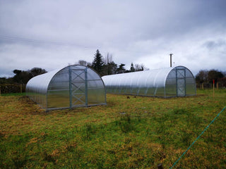 GREENHOUSE STRONG 30 M² (3M X 10M; 9.8FT X 33FT)