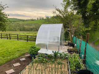 GREENHOUSE ARROW-3, 6M² (3M X 2M; 9.8FT X 6.5FT)