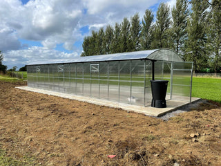 GREENHOUSE PRIMA-4 32 M² (4M X 8M; 13FT X 26FT)/ 6mm