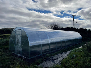 GREENHOUSE SIGMA 36M² (3M X 12M; 9.8FT X 40FT)