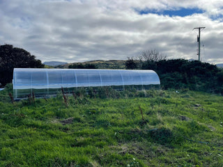 GREENHOUSE SIGMA 36M² (3M X 12M; 9.8FT X 40FT)
