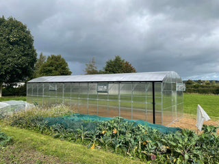 GREENHOUSE PRIMA-4 48 M² (4M X 12M; 13FT X 39.4FT)/ 6mm