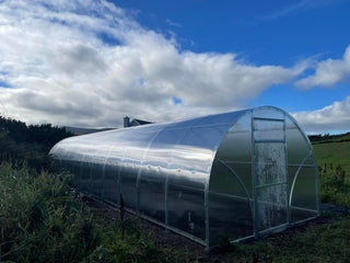 GREENHOUSE SIGMA 36M² (3M X 12M; 9.8FT X 40FT)