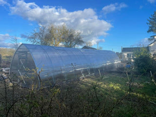 GREENHOUSE ARROW-3, 36M² (3M X 12M; 9.8FT X 39.4FT)