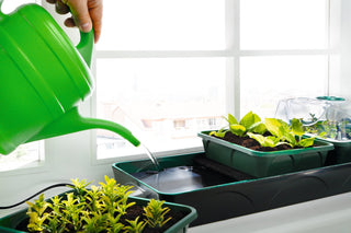 Propagator "Hollandia" - Electric Window Sill Propagator