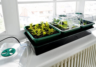 Propagator "Hollandia" - Electric Window Sill Propagator