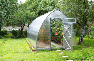 GREENHOUSE ARROW, 26 M² (2.6M X 10M; 8.5FT X 33FT)