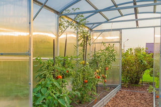 GREENHOUSE PRIMA-3 24 M² (3M X 8M; 9.8FT X 26FT)/ 6mm