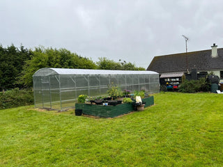 GREENHOUSE PRIMA-3 24 M² (3M X 8M; 9.8FT X 26FT)/ 6mm