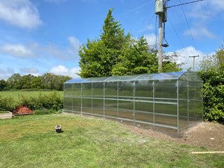 GREENHOUSE PRIMA-3 24 M² (3M X 8M; 9.8FT X 26FT)/ 6mm