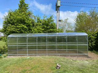 GREENHOUSE PRIMA-3 24 M² (3M X 8M; 9.8FT X 26FT)/ 6mm