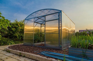 GREENHOUSE PRIMA-3 12 M² (3M X 4M; 9.8FT X 13FT)/ 6mm