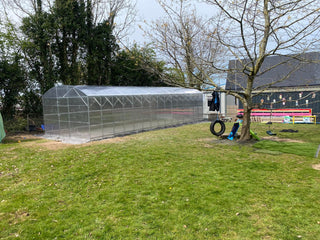 GREENHOUSE PRIMA-4 32 M² (4M X 8M; 13FT X 26FT)/ 6mm