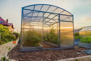 GREENHOUSE PRIMA-3 24 M² (3M X 8M; 9.8FT X 26FT)/ 6mm