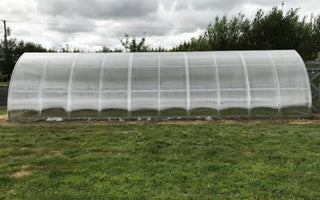 GREENHOUSE ARROW-3, 30M² (3M X 10M; 9.8FT X 33FT)