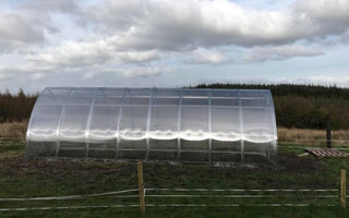 GREENHOUSE ARROW, 20.8 M² (2.6M X 8M; 8.5FT X 26FT)
