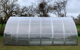 GREENHOUSE ARROW, 15.6 M² (2.6M X 6M; 8.5FT X 19.6FT)